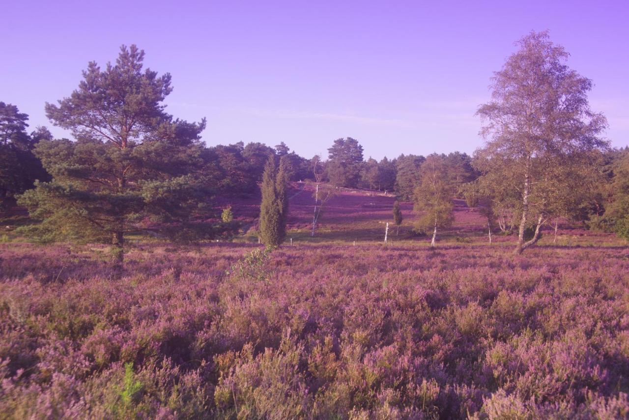 Ferienwohnung Schuur - Buchholz In Der Nordheide Exterior foto